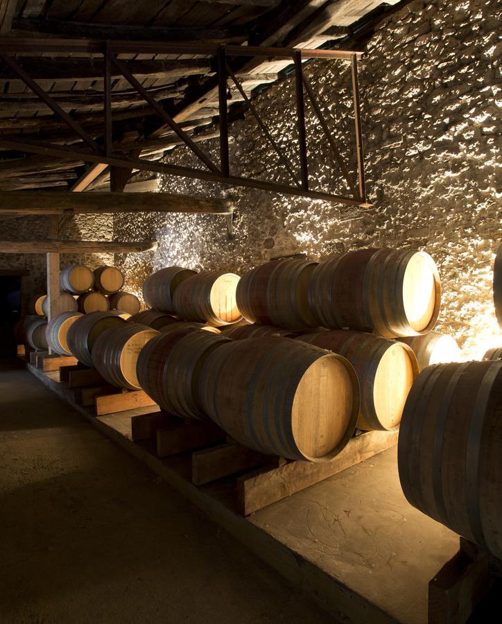 Maison Le Sepe - Vignoble Bio Et Maison D'Hotes Sainte-Radegonde  Exteriér fotografie