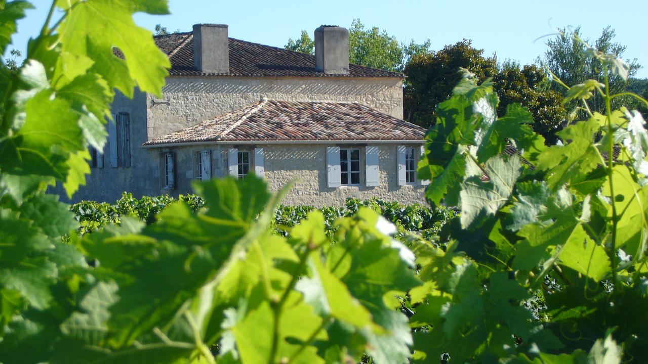 Maison Le Sepe - Vignoble Bio Et Maison D'Hotes Sainte-Radegonde  Exteriér fotografie